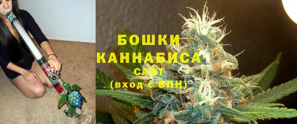 ПСИЛОЦИБИНОВЫЕ ГРИБЫ Покров