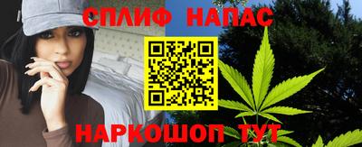 сатива Аргун