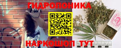 сатива Аргун