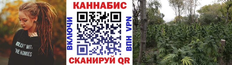 МАРИХУАНА OG Kush  наркота  MEGA ССЫЛКА  Сибай 